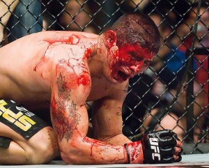 mma rules Mixed Martial Arts (MMA) Rules